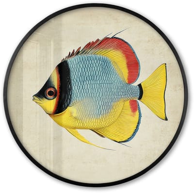 Poster in lijst Rond - Fotolijst 60x60 cm - Posters - Kleurrijk - Vis - Schubben - Illustratie - Ronde posterlijst zwart - Decoratie - Wanddecoratie woonkamer - Muurdecoratie slaapkamer