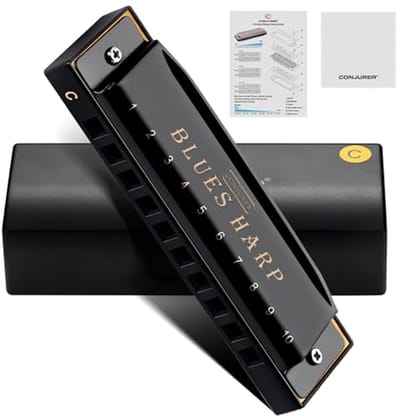 Blues mondharmonica voor kinderen en beginners - 10 gaten, diatonische mondharmonica in C met metalen rieten en koffer
