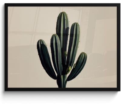 Poster in lijst - Fotolijst 80x60 cm - Posters - Cactus - Subtiel - Groen - Posterlijst zwart - Decoratie - Wanddecoratie woonkamer - Muurdecoratie slaapkamer