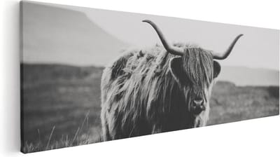 Artaza Canvas Schilderij Hooglander - 60x20 cm - Muurdecoratie Dierenkop - Wanddecoratie Woonkamer - Kamer Accessoires