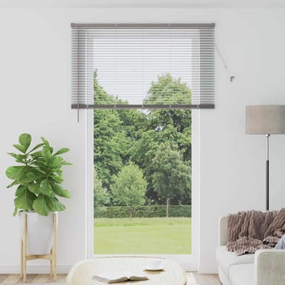 vidaXL - Venetiaanse - jaloezie - zilver - 220 - x - 125 - cm - 25 - mm - Aluminium