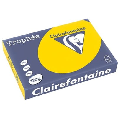 Clairefontaine Trophée Pastel, gekleurd papier, A4, 120 g, 250 vel, goudgeel