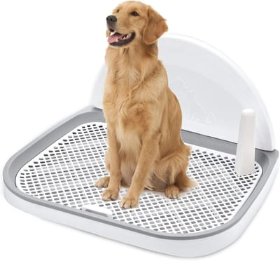 Honden Trainingspotje XL - Indoor Toilet met Rooster voor Kleine & Middelgrote Honden