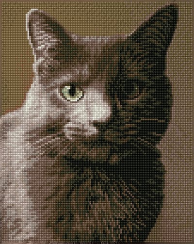 Full Diamond Painting Volwassenen - Hobby - Volledig Pakket - Vierkante Steentjes - DQ8.001 Diamond Dotz® - Katten portret 37.5 x 30cm