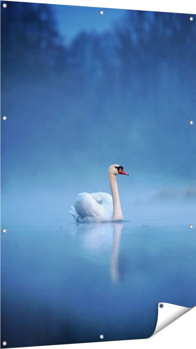 Gards Tuinposter Zwaan op het Water tussen de Mist - 100x150 cm - Tuindoek - Tuindecoratie - Wanddecoratie buiten - Tuinschilderij