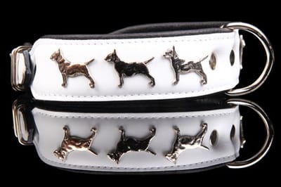 Dog's Companion Leren Halsband - Bull Terriër - Lengte: 45 cm Verstelbaar van: 32-41 cm x 40 mm - Zwart/Roze