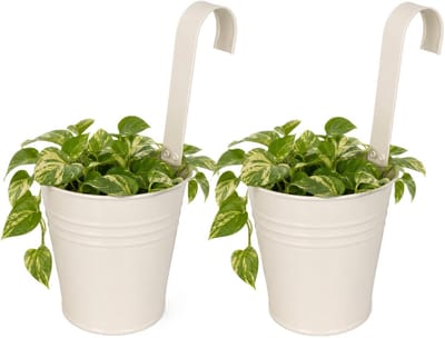 Progarden Bloempotje met haak - 2x - plantenbak zink met ophanghaak - wit - 20 x 13 x 26 cm - ophangbaar - Balkon/schutting plantenpot