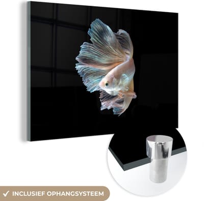MuchoWow® Glasschilderij 60x40 cm - Schilderij acrylglas - Vis - Staart - Zwart - Foto op glas - Schilderijen