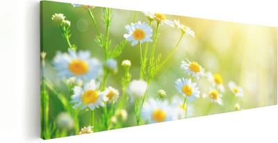 Artaza Canvas Schilderij Bloemen In Zonlicht - 60x20 cm - Muurdecoratie Woonkamer - Wanddecoratie Lente - Kamer Accessoires