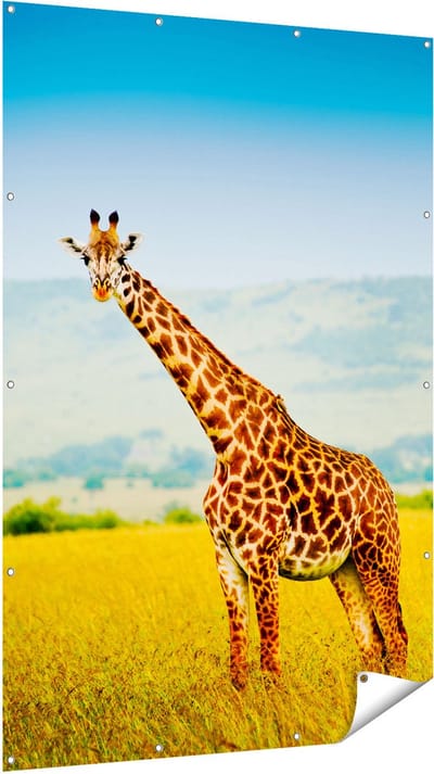 Gards Tuinposter Giraffe in het Veld - 120x180 cm - Tuindoek - Tuindecoratie - Wanddecoratie buiten - Tuinschilderij