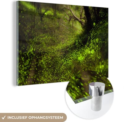 ® Glasschilderij 180x120 cm - Schilderij acrylglas - Vuurvliegjes op de bemoste bodem van een bos - Foto op glas - Muurdecoratie woonkamer - Wanddecoratie slaapkamer - Schilderijen