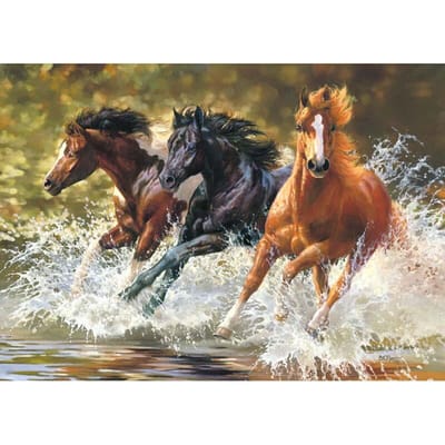 5D Doe-het-zelf Diamantschilderij  Ren Het Paard  Diamant Borduurwerk Kruissteek Strass Mozaïek Schildering 20X30CM black