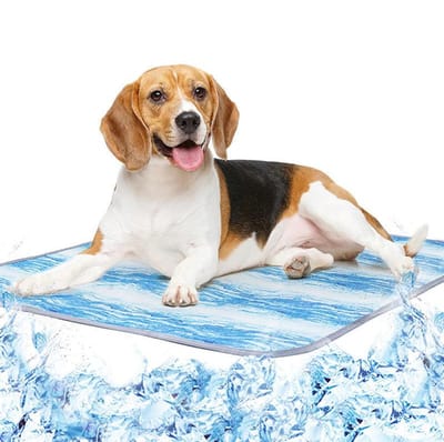 Linkforu – Zomer - Verkoelend Huisdier Bed - Coolpad – Orthopedisch Kussen - Traagschuimmat - Ademend - Waterdicht - Wasbaar – 67x47 cm