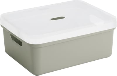 Sunware opbergbox mand kist - 24 liter - lichtgroen - kunststof - met transparante deksel - 45 x 35 x 18 cm - Sigma serie