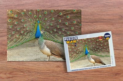 Puzzel Pauwen - Vogels - Veren - Legpuzzel - Puzzel 1000 stukjes volwassenen