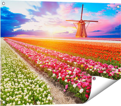 Gards Tuinposter Kleurrijke Bloemenveld met een Windmolen - 80x60 cm - Tuindoek - Tuindecoratie - Wanddecoratie buiten - Tuinschilderij
