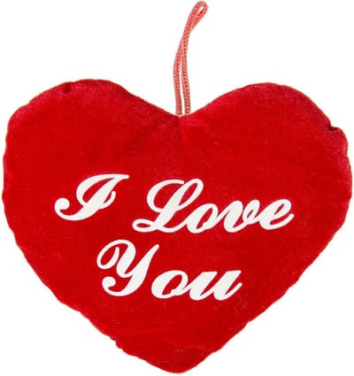 Pluche rood hart kussen I Love You 22 cm