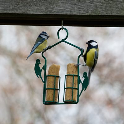 CJ Wildlife - Energierolhanger - Groen - Vogelvoederplek