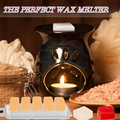 Wax Melt Mallen - Kaarsen Vormen - Kaarsen Maken - Klapdeksel Ontwerp - 100 Stuks - Transparant