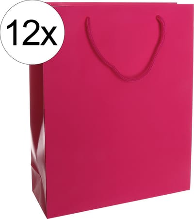 12st. stevige draagtassen papier (26x32x10)cm zak cadeautasje gift bag verpakking gedraaid koord greep