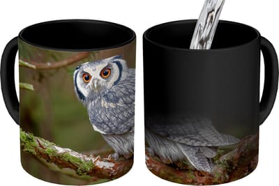 Magische Mok - Foto op Warmte Mokken - Koffiemok - Uil - Vogel - Takken - Natuur - Magic Mok - Beker - 350 ML - Theemok