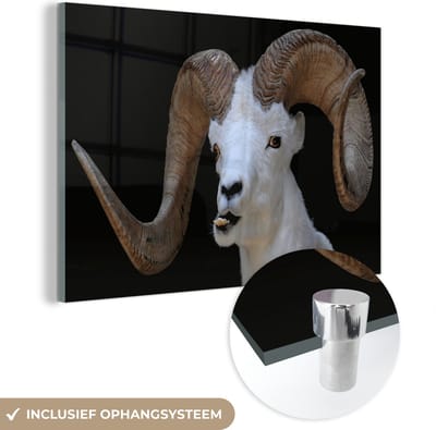 MuchoWow® Glasschilderij 120x80 cm - Schilderij acrylglas - Bok - Dieren - Hoorn - Foto op glas - Schilderijen