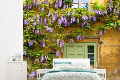 Behang - Fotobehang Blauwe regen tegen de muur van een huis - Breedte 315 cm x hoogte 260 cm