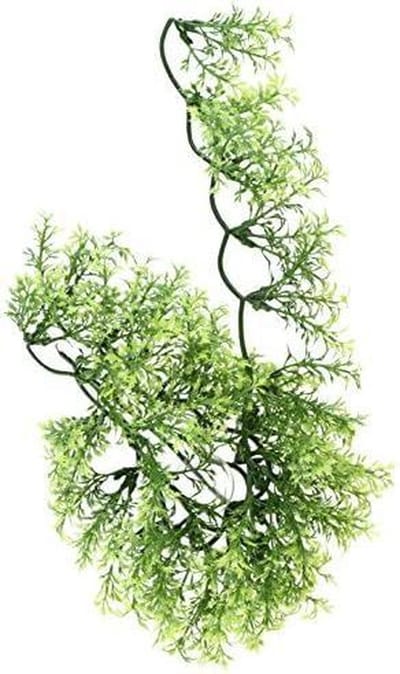 ZooMed - naturalistic flora - australian maple - large - terrariumplant