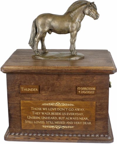 Urn voor paardenas met beeldje - gepersonaliseerde urn voor Fjordpaard