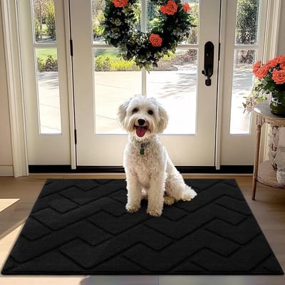 La'Moussawi ® Extra Grote Zwarte Deurmat Voor Binnen En Buiten Met Antislip En Wasbare Eigenschappen