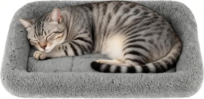 JeiibrZui Pluche Huisdierbed - 56x41 cm - 1 Stuk - Anti-Slip - Grijs - Zacht Kussen voor Kat en Kleine Hond - Ideaal voor Mand en Bench