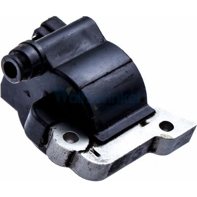 Ignition module