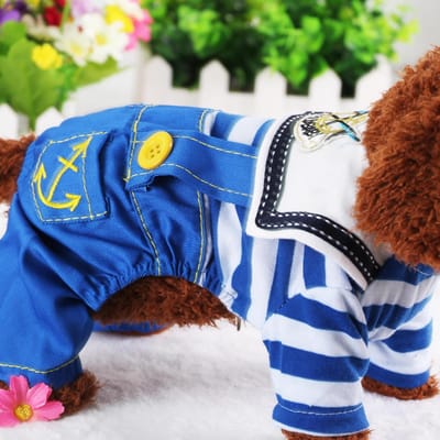 Honden Kleding Vierbenige Lente Herfst Winter Huisdier Kleding Teddy Poedel Puppy Beer Zomer L