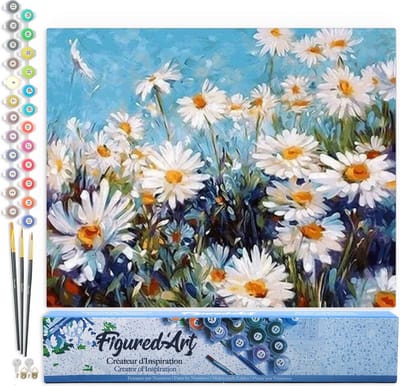 Figured'Art Schilderen op Nummer Volwassenen canvas Veld met madeliefjes op een zonnige dag - Handwerk acrylverf Kit DIY Compleet - 40x50cm zonder frame
