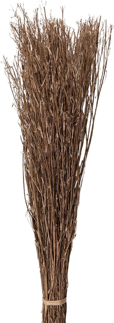 Clayre & Eef Droogbloemen 80 cm Beige Droogbloemen