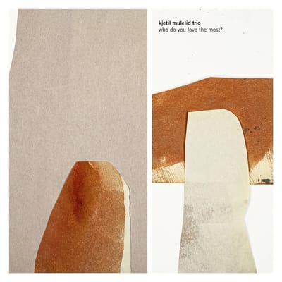Kjetil Mulelid Trio - Who Do You Love The Most? (CD)