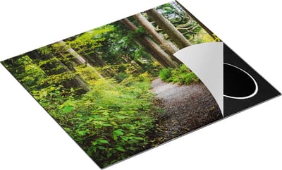 Chefcare Inductie Beschermer Voetpad in het Bos - 60x50 cm - Afdekplaat Inductie - Kookplaat Beschermer - Inductie Mat