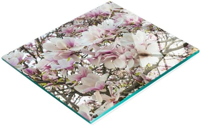 Decoratieve serveerplank van glas met magnolia-bloemen, 60x52 cm