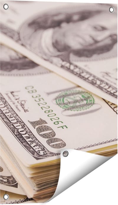Gards Tuinposter Dollar Geld Briefjes - 40x60 cm - Tuindoek - Tuindecoratie - Wanddecoratie buiten - Tuinschilderij