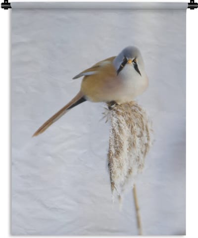 Wandkleed Baardman - Beeld van een baardman tijdens de winter met een lichte achtergrond Wandkleed katoen 120x160 cm - Wandtapijt met foto XXL / Groot formaat!