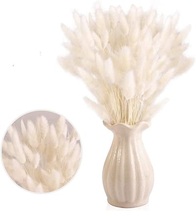 Gedroogde Pampas Grassen - Konijnenstaartgras Boeket - Interieur Decoratie - Natuurlijke Kleur Behoud - 30 Stuks 40-45cm - Wit