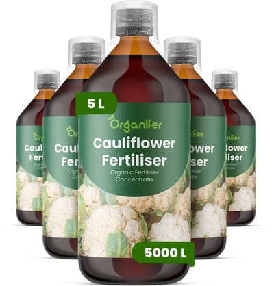 Vloeibare Meststof Voor Bloemkool 5X1 L Voor 5000 L - Npk 2-1-8 - Kruisbloemig Gewas - Sterke Wortelontwikkeling - Uniforme Kropgrootte - Bladomsluiting - Stressbestendig - Brassica-Groenten - Organifer