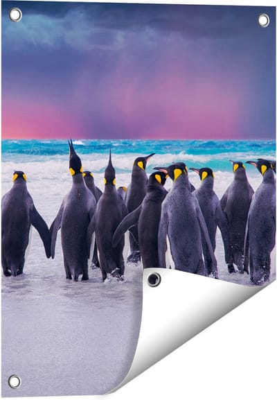 Gards Tuinposter Groep Pingu�ns bij het Water - Kudde - 40x50 cm - Tuindoek - Tuindecoratie - Wanddecoratie buiten - Tuinschilderij