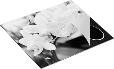 Chefcare Inductie Beschermer Gestreepte Witte Orchidee Bloemen - Zwart Wit - 60x50 cm - Afdekplaat Inductie - Kookplaat Beschermer - Inductie Mat