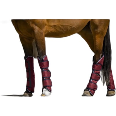 Transportlaarzen voor paarden Equithème Tyrex 1200D