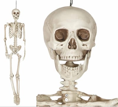 Fiestas Guirca Decoratie skelet pop realistisch - Halloween/horror versiering - hangend - 160 cm