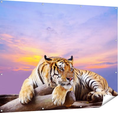 Gards Tuinposter Tijger tijdens Zonsondergang - 150x120 cm - Tuindoek - Tuindecoratie - Wanddecoratie buiten - Tuinschilderij