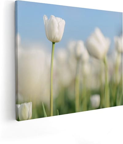 Artaza Canvas Schilderij Witte Tulpen - 100x80 cm - Groot - Wanddecoratie Bloemen - Muurdecoratie Bloemenveld - Schilderijen Op Canvas