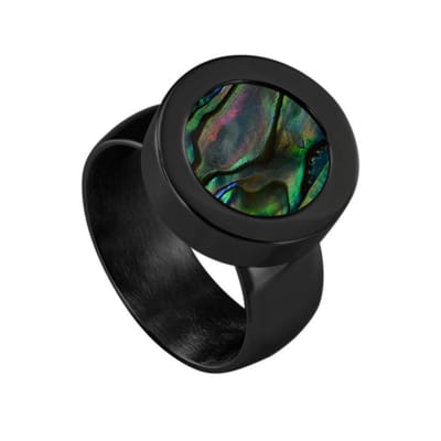 Quiges RVS Schroefsysteem Ring Zwart Glans 16mm met Verwisselbare 12mm Mini Munt - SLSRS55216