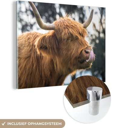 MuchoWow® Glasschilderij 160x120 cm - Schilderij acrylglas - Schotse Hooglander - Neus - Boom - Foto op glas - Schilderijen
